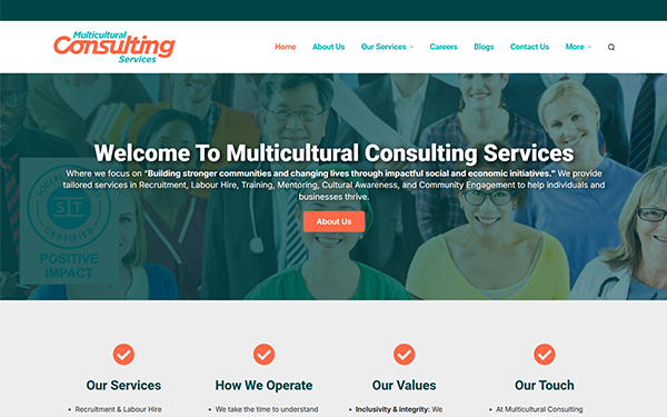 MulticulturalConsultingServices